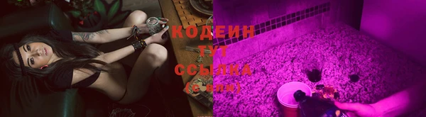 Альфа ПВП Лагань