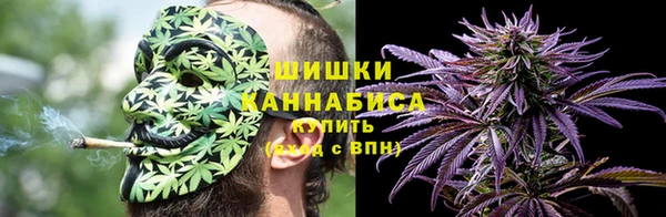 PSILOCYBIN Лабытнанги