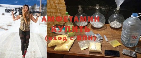 Альфа ПВП Лагань