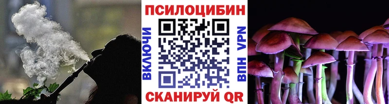 Галлюциногенные грибы MAGIC MUSHROOMS  где купить наркотик  Чита 